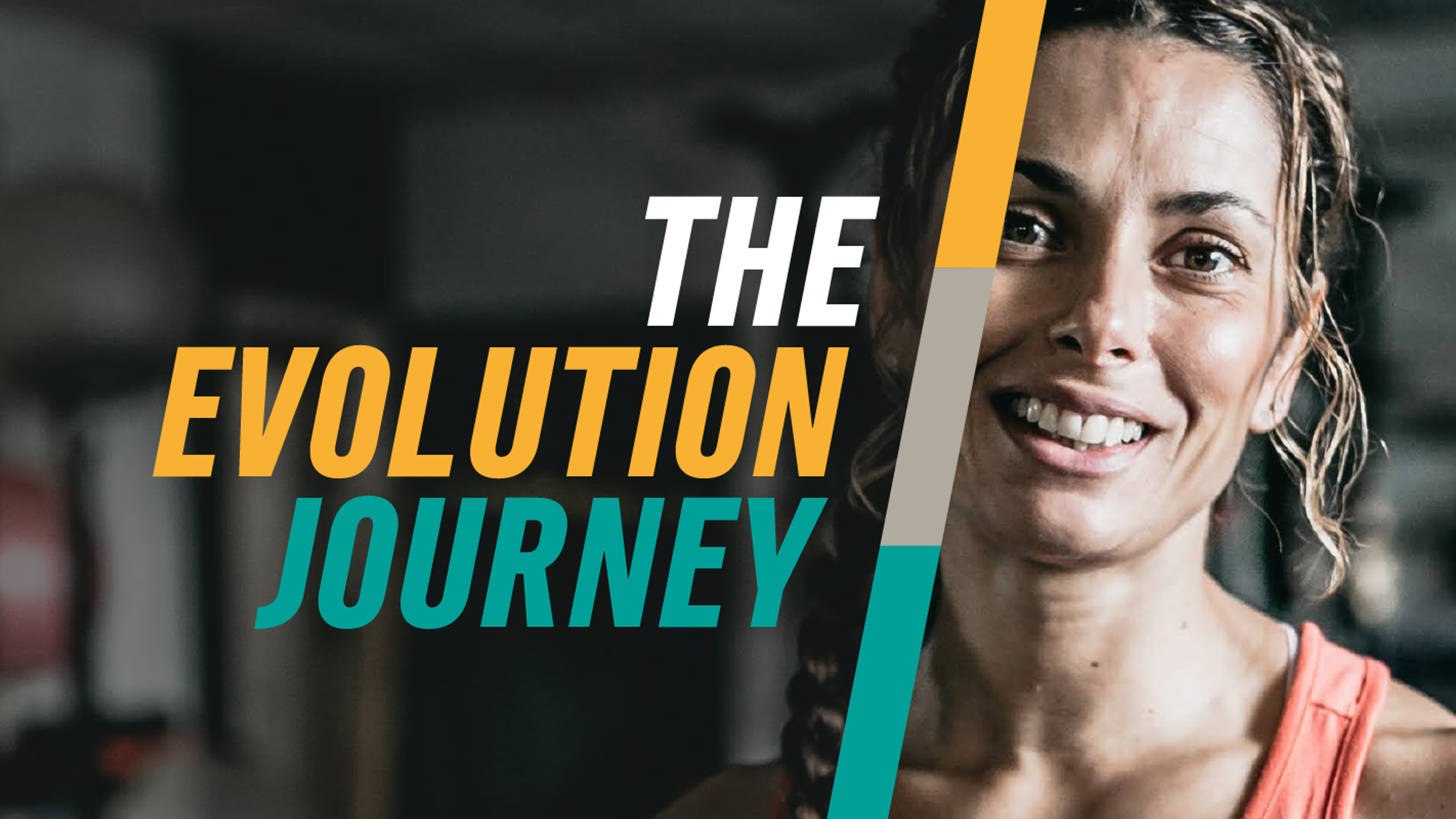 The Evolution Journey